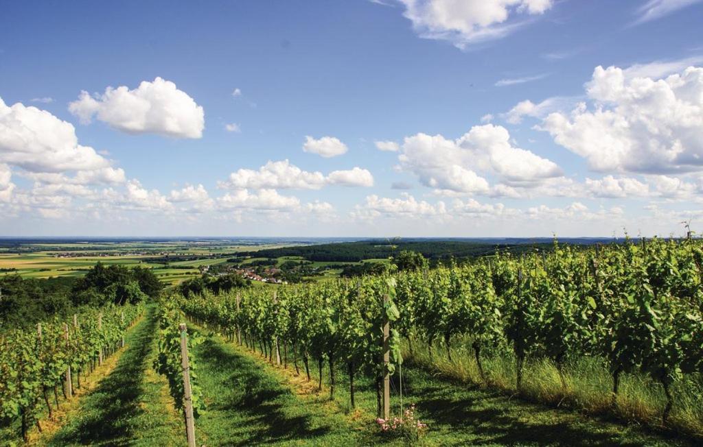 Kellerstoeckl Weinblick I Und II Βίλα Eisenberg an der Pinka Εξωτερικό φωτογραφία