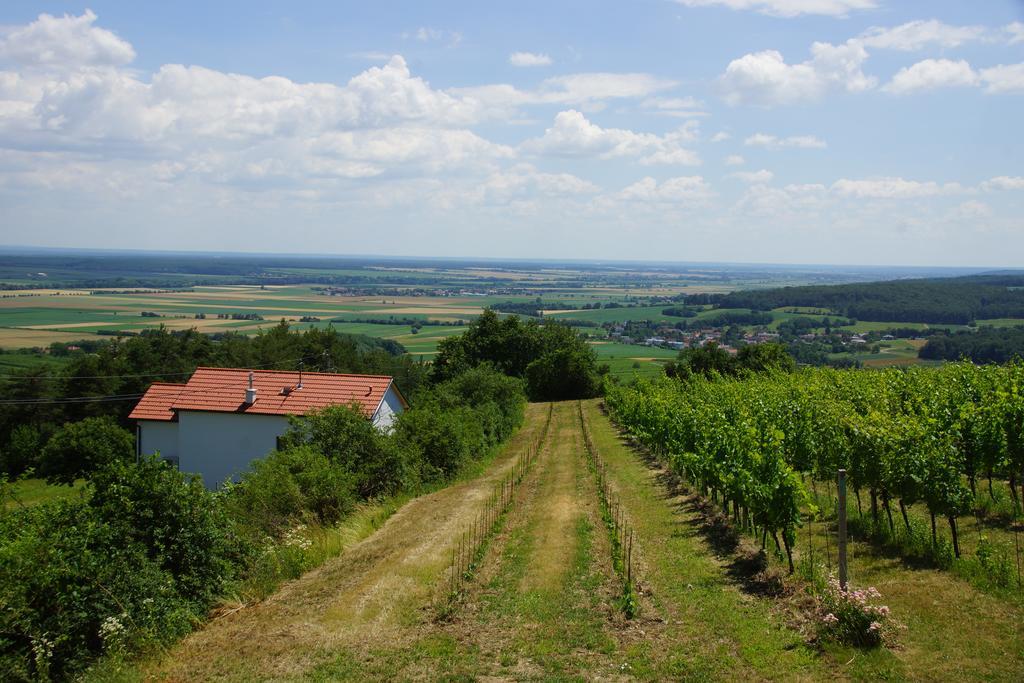 Kellerstoeckl Weinblick I Und II Βίλα Eisenberg an der Pinka Εξωτερικό φωτογραφία